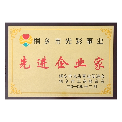 桐鄉(xiāng)市光彩事業(yè)先進(jìn)企業(yè)家